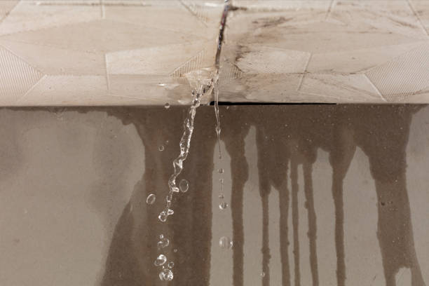 Professional Sewage Cleanup technician working in Bargersville, IN